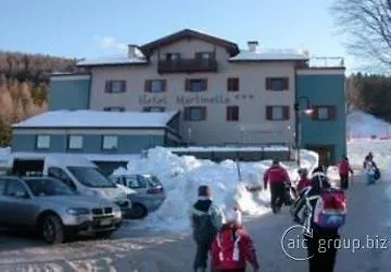 Martinella